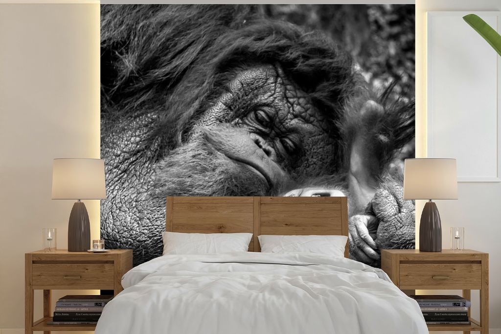 MuchoWow Fototapete für Wohnzimmer oder Schlafzimmer Wandtapete Vinyl Motivtapete Liebender Orang-Utan mit Jungtier in Schwarz und Weiß - 240x2...