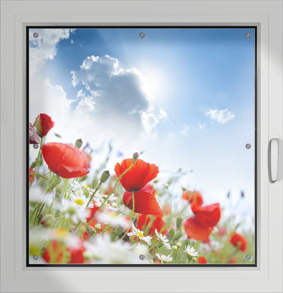 Wallario Lichtschutzbild, Dekorativer Sichtschutz Sonnenschutz 96 x 93 cm mit Motiv: Mohnblumen unter blauem Himmel - Verdunklung ohne Bohren
