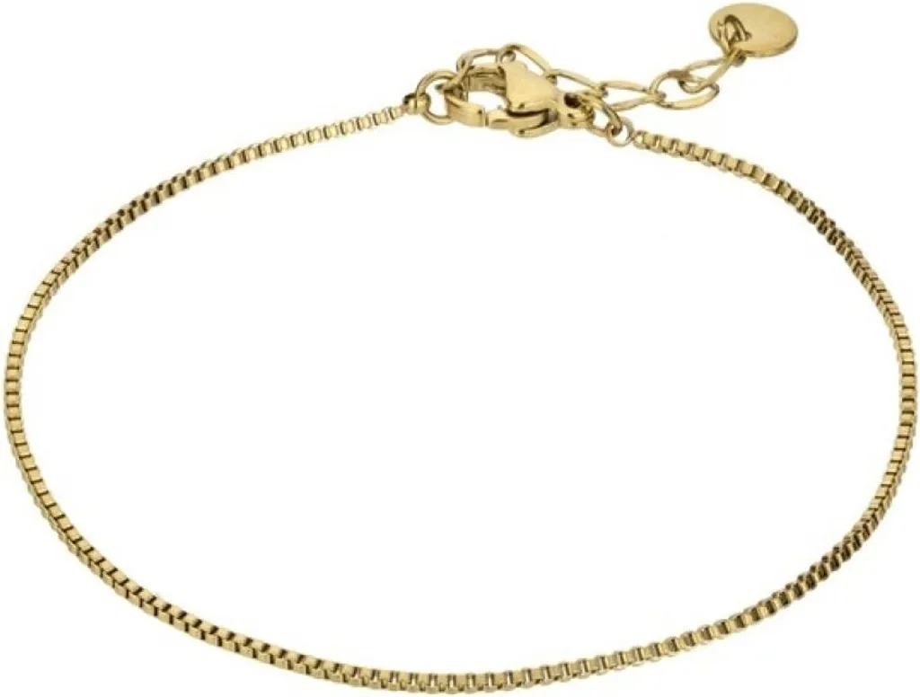 Bracelet Venezia EWB23072G en Acier Doré : Anti-Ternissement et Durable
