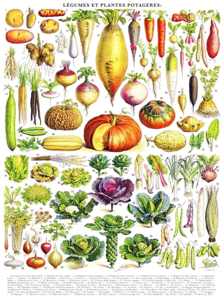 Puzzle Légumes New York Puzzle Company - Illustration Vintage 1000 Pièces