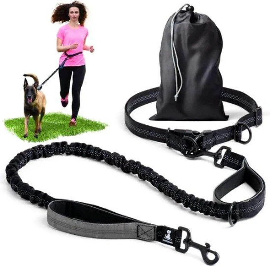 Collier de dressage robuste pour grand chien avec bandes de visibilité nuit