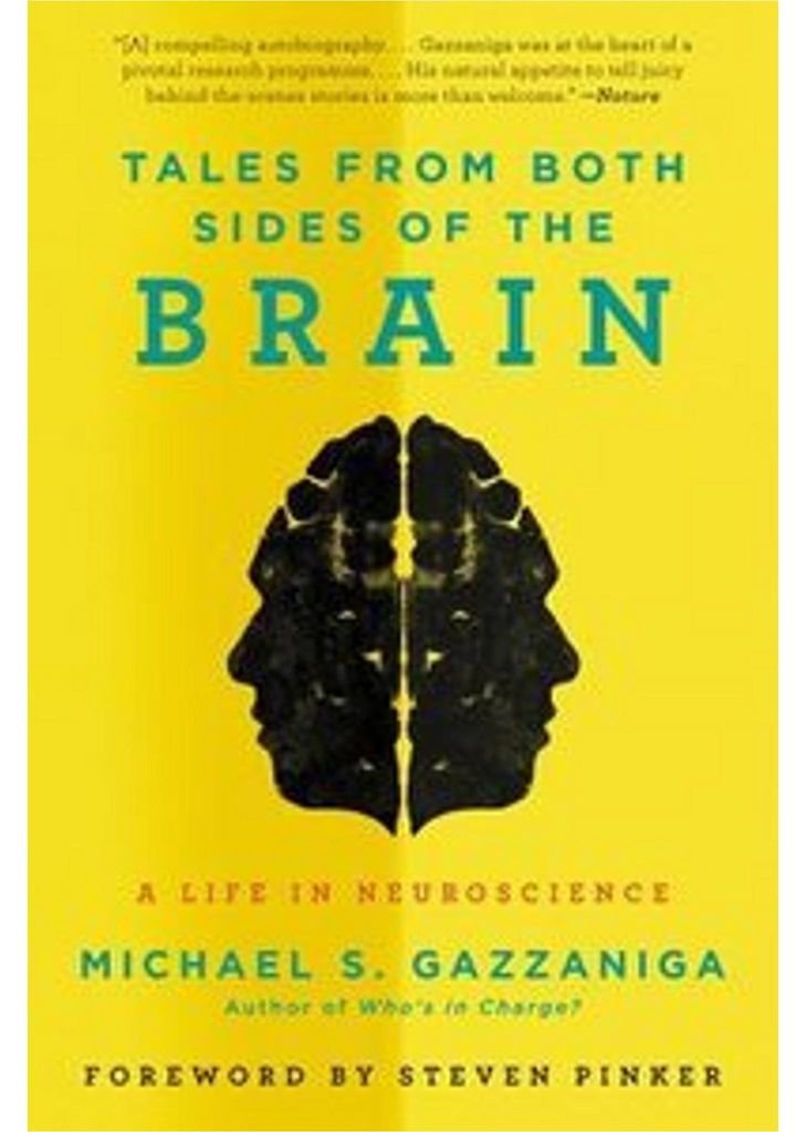 Tales from Both Sides of the Brain