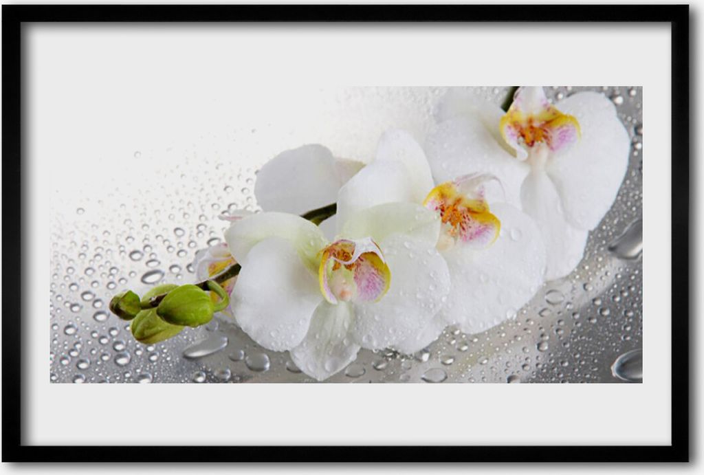 Bild 60x40 MDF-Rahmen Wandkunst Blumen Pflanzen Natur