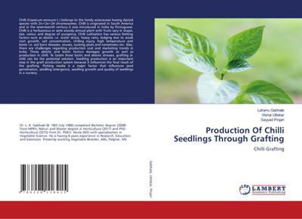 Production Of Chilli Seedlings Through Grafting