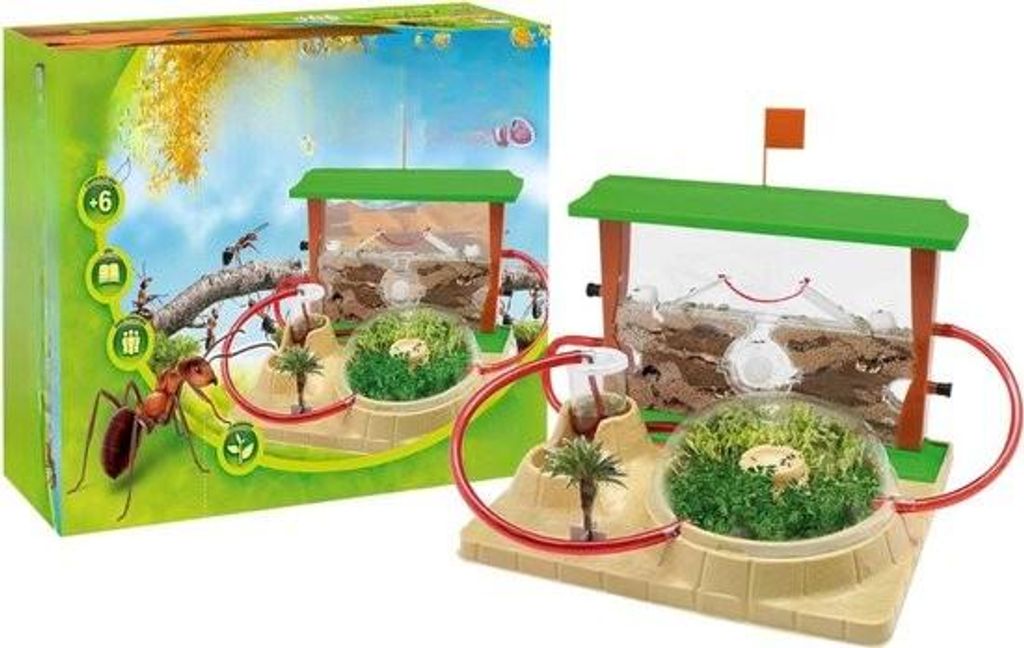 Ameisenfarm - Ameisennest - Ameisenhaus - Ameisenhotel - Produktbild 