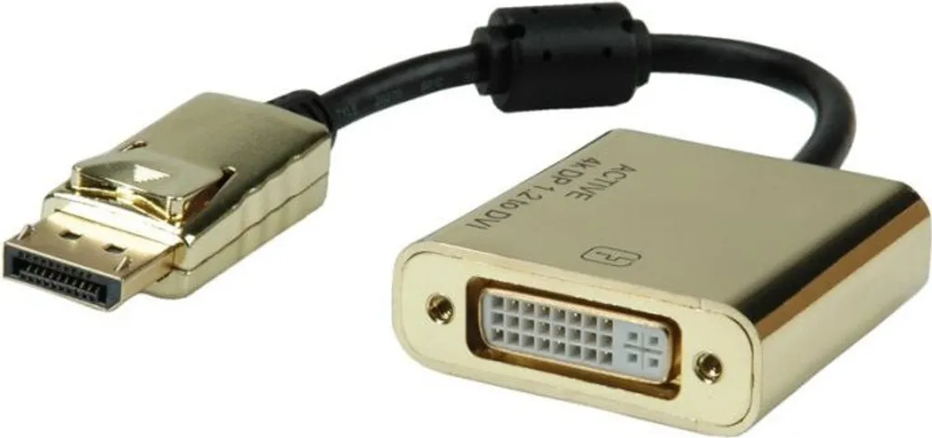 Convertitore Attivo DP-DVI 4K ROLINE GOLD: Standard Industriale v1.2