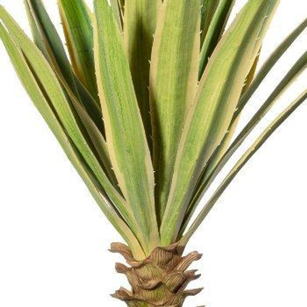 artplants.de Künstliche Agave furcraea gigantea SININ im Terracottatopf, grün-Creme, 75cm - Kunst Agave