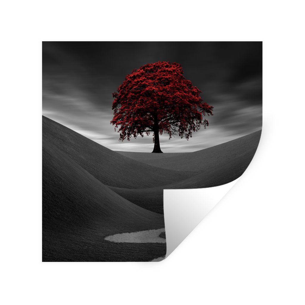 MuchoWow Wandtattoo Wandsticker Wandaufkleber Schwarz-Weiß-Foto mit einem roten Baum 80x80 cm Selbstklebend und Repositionierbar - Wierderverwen...