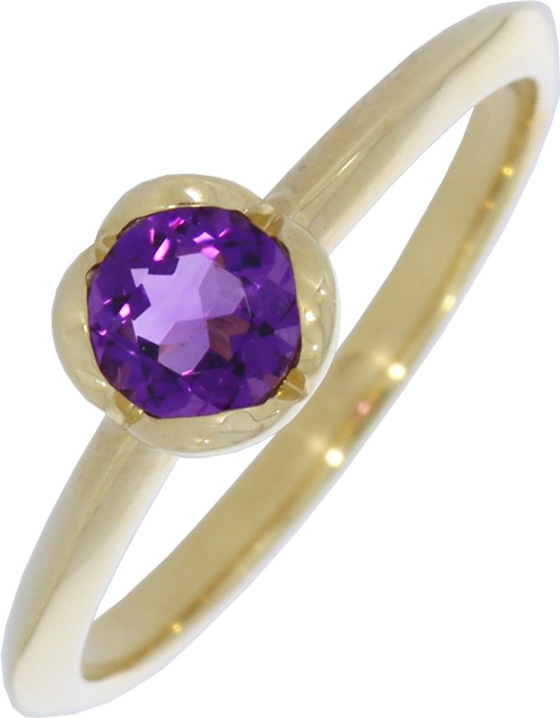 XRG123-52, XRG123-54 ONE Ring mit Amethyst 375 Gelbgold XEN