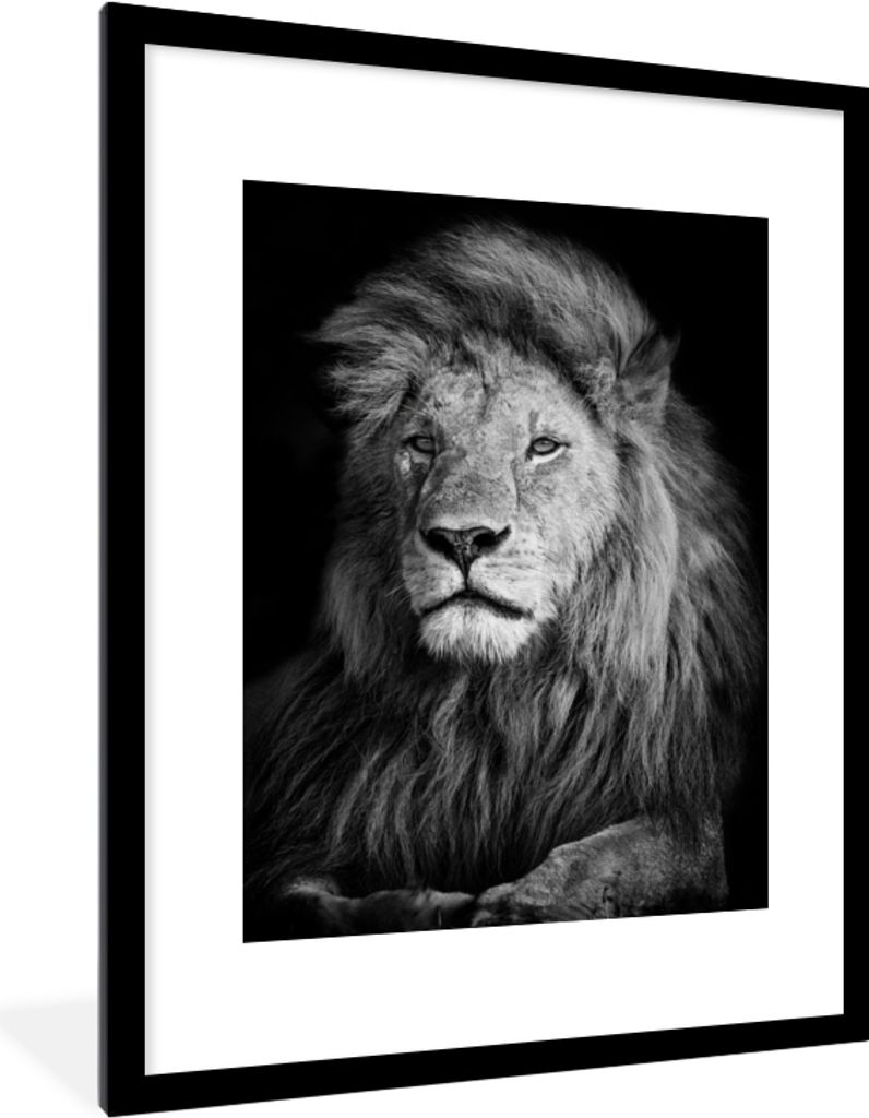 MuchoWow Gerahmtes Poster Wildlife - Löwe - Schwarz - Weiß 60x80 cm - Poster mit Schwarzem Bilderrahmen Wandposter Rahmen Foto Bilder - Wohnzim...