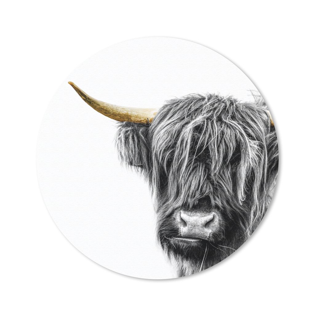 MuchoWow Mauspad Mousepad Schottischer Highlander - Tiere - Goldene Hörner 40x40 cm - Mousepads - Maus Mat - Pad - Mausunterlage - Schreibtisch ...