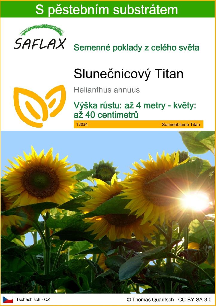 SAFLAX - Slunečnicový Titan - Helianthus annuus - 20 Semena Obrázek produktu 