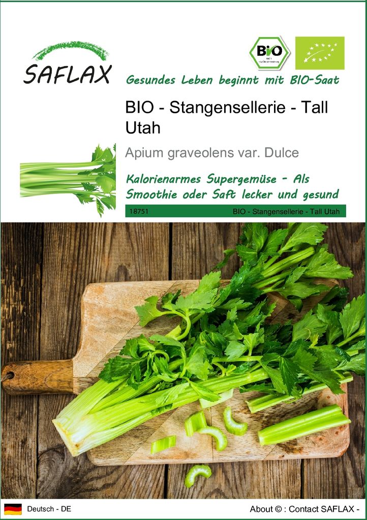SAFLAX - BIO - Stangensellerie - Tall Utah - 500 Samen - Apium graveolens