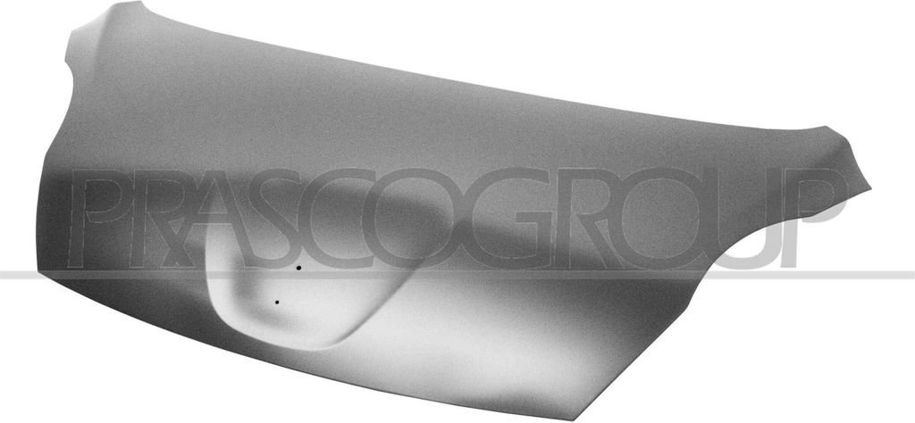 PRASCO PG2043100 Motorhaube