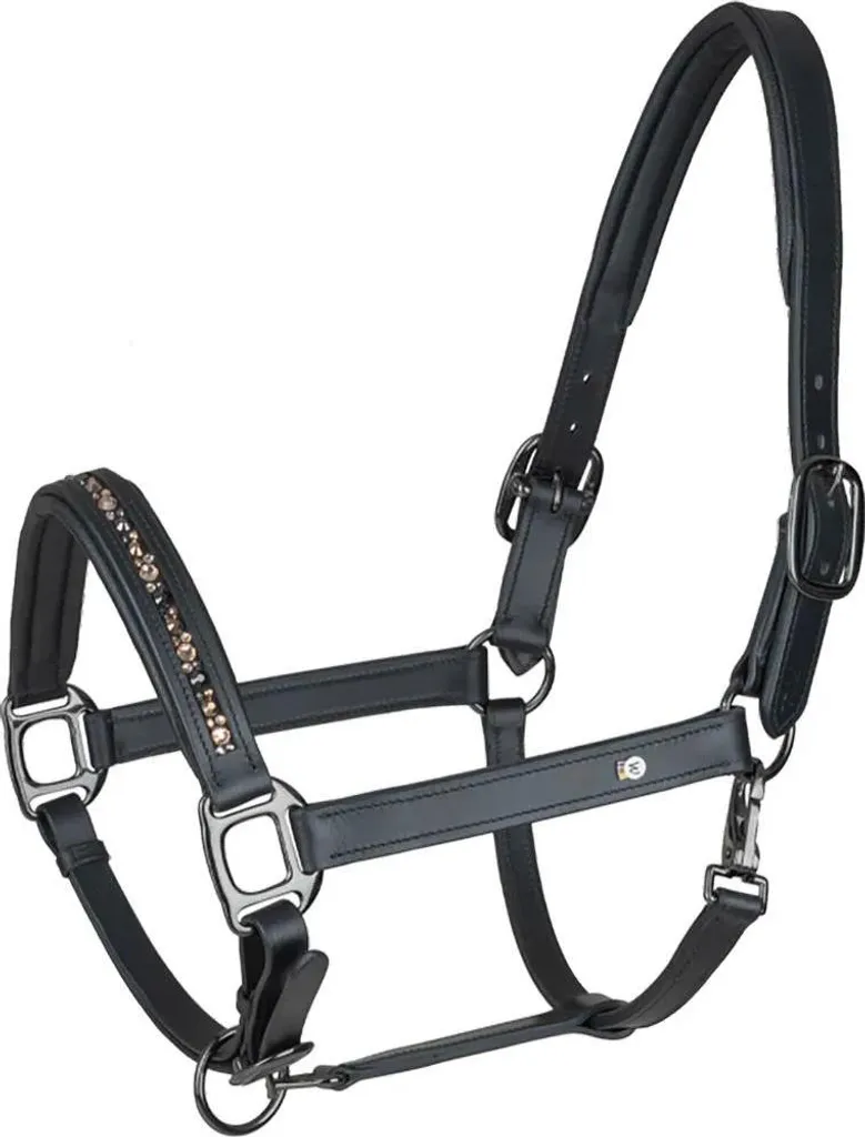 Licol en cuir de concours Waldhausen X-Line Crystal WB pour le pansage