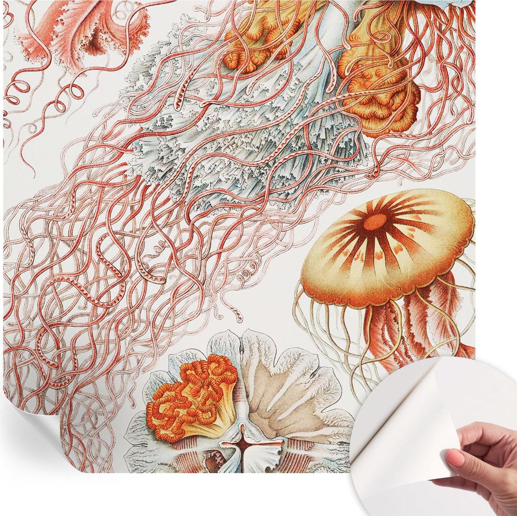 Selbstklebende Wandtapete - Dekorative Tapete für Wohnzimmer - Klebefolie für Wandbilder - Tapetenfolie für Wanddekoration - 250x250 cm - Zierqu...