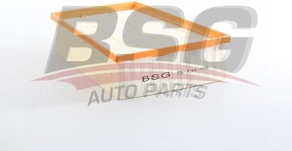 Luftfilter BSG BSG 75-135-026 für RENAULT Megane IV Grandtour (K9A/M/N) Filtereinsatz