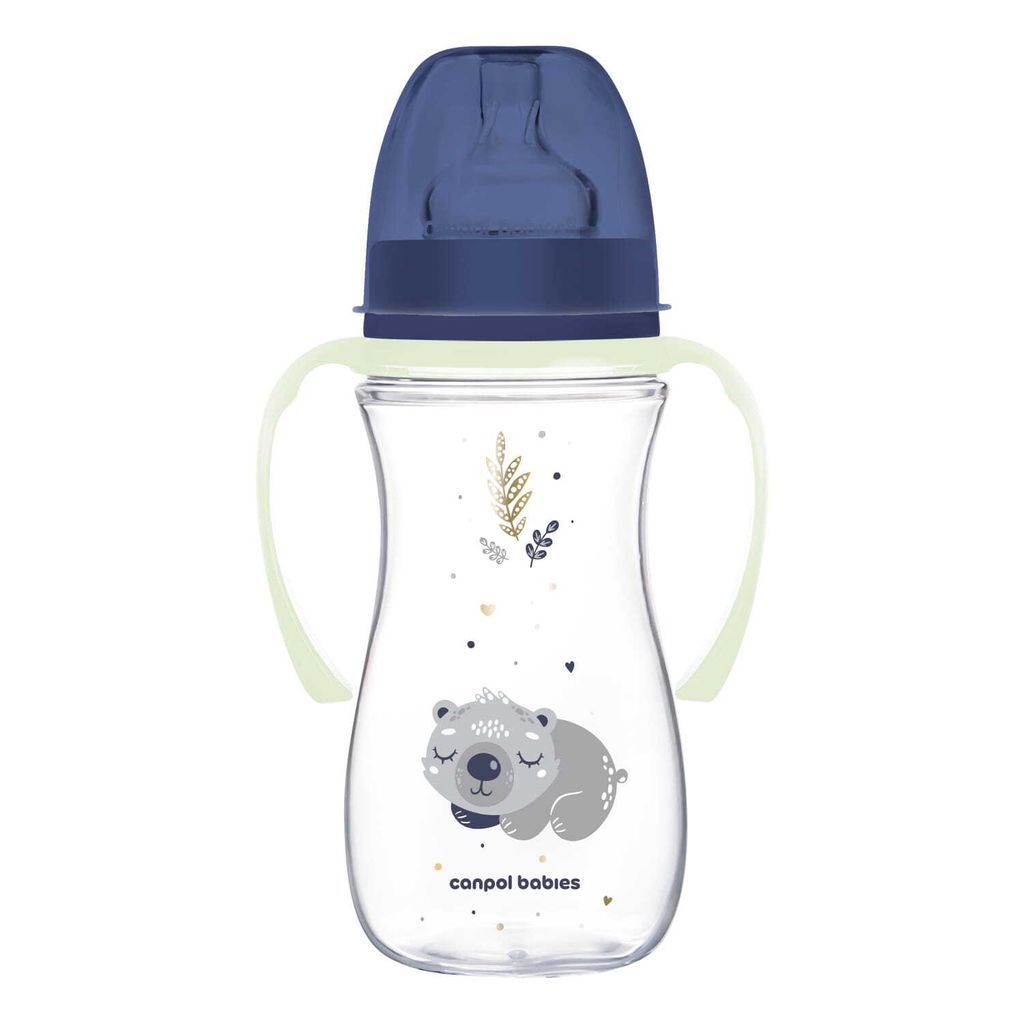 Biberon Bouteille anti-coliques Sleepy Koala Boy 300ml Image du produit 