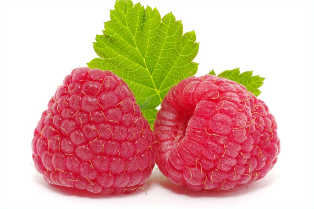 Wallario selbstklebendes Poster - Himbeeren mit grünem Blatt auf weißem Grund, Größe: 61 x 91,50 cm