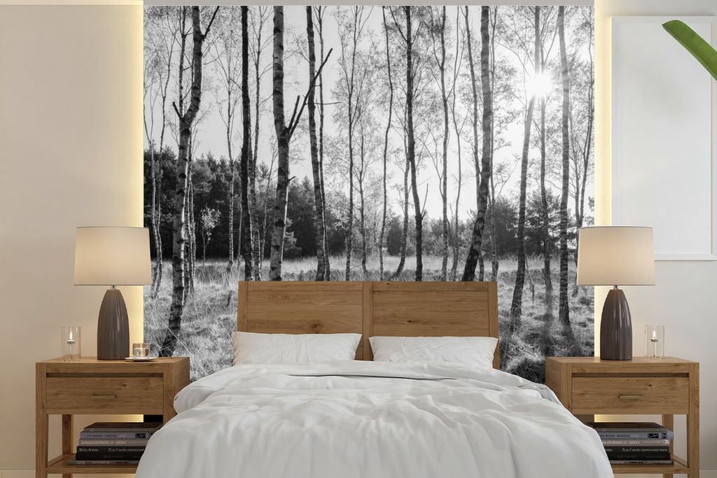 MuchoWow Fototapete für Wohnzimmer oder Schlafzimmer Wandtapete Vinyl Motivtapete Europa - Bäume - Wald - Schwarz - Weiß - 280x280 cm - Hinter...