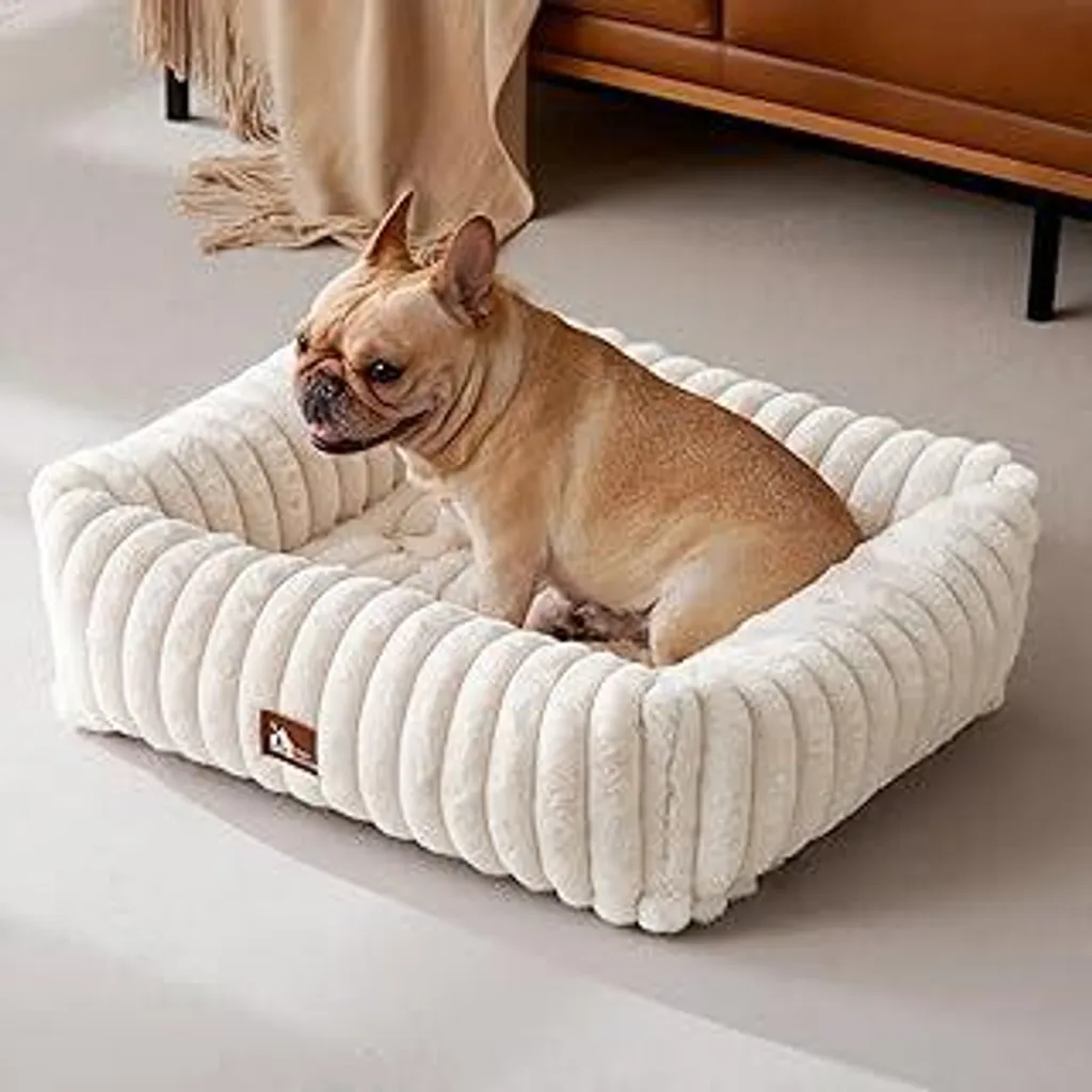 Divano per Cani con Maniglie 64cm | Design Beige Lavabile Elegante