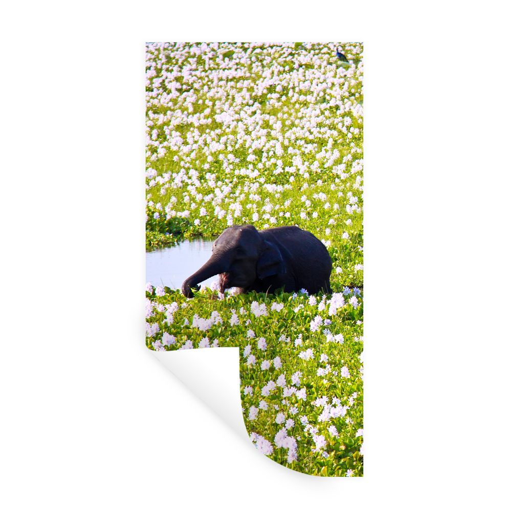MuchoWow Wandtattoo Wandsticker Wandaufkleber Elefant - Wasser - Pflanzen - Grün - Natur - Tiere 60x120 cm Selbstklebend und Repositionierbar - ...