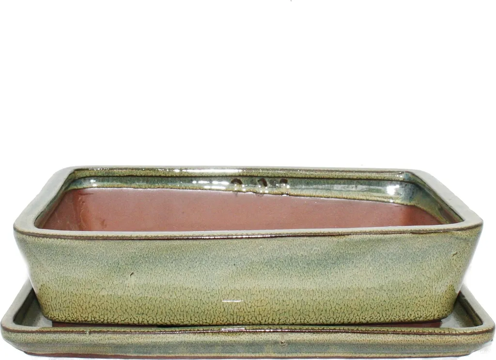 Coupe à bonsaï G30 brun olive 25cm avec plateau de drainage intégré