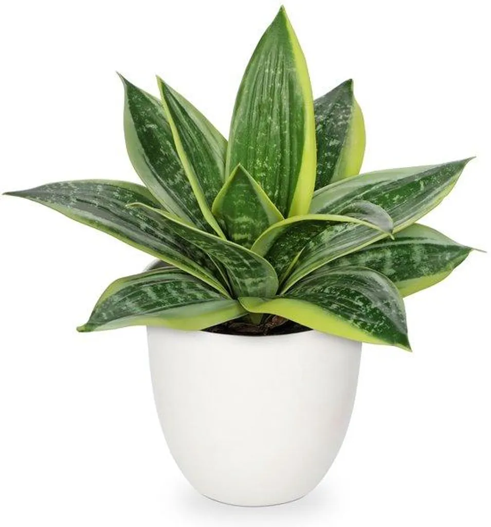 Sansevieria artificielle vert clair 90cm - Plante verte d'intérieur