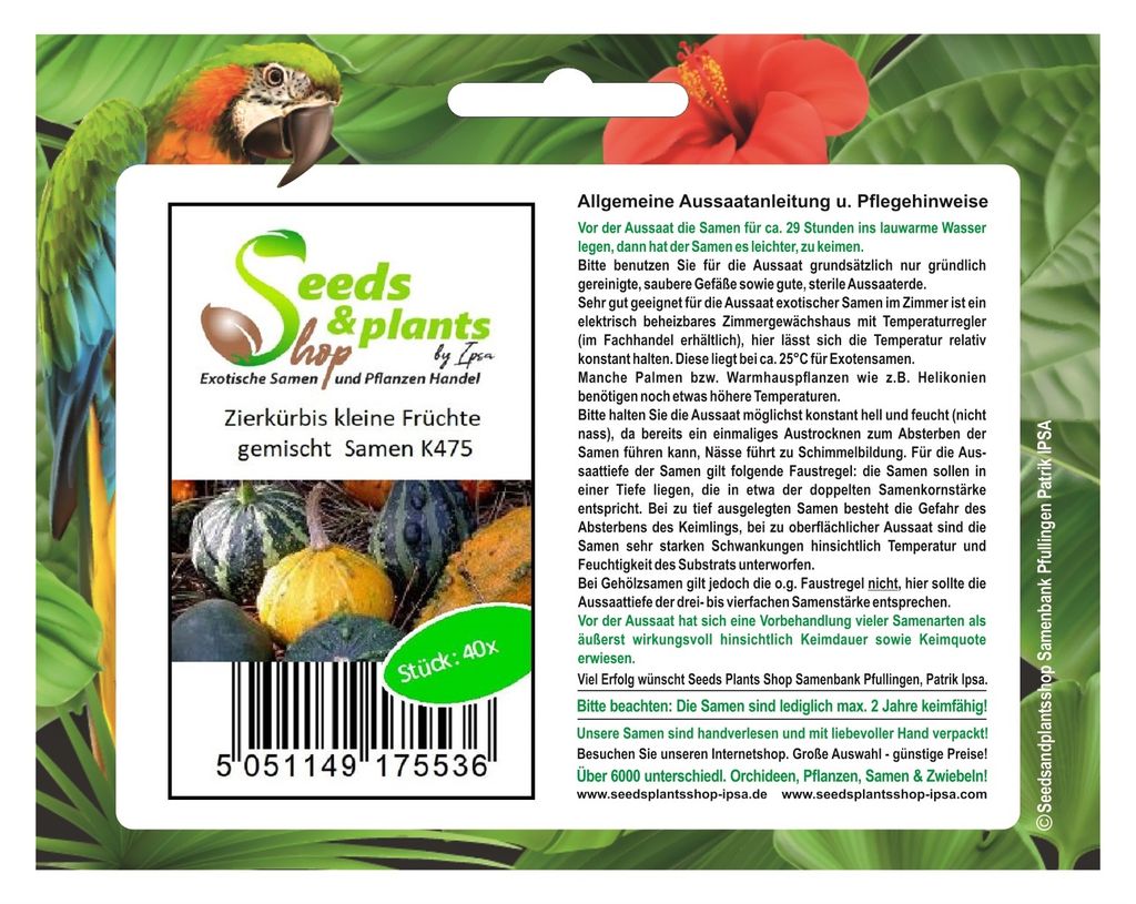 40x Zierkürbis kleine Früchte gemischt Cucurbita pepo Gemüse Pflanzen Samen K475
