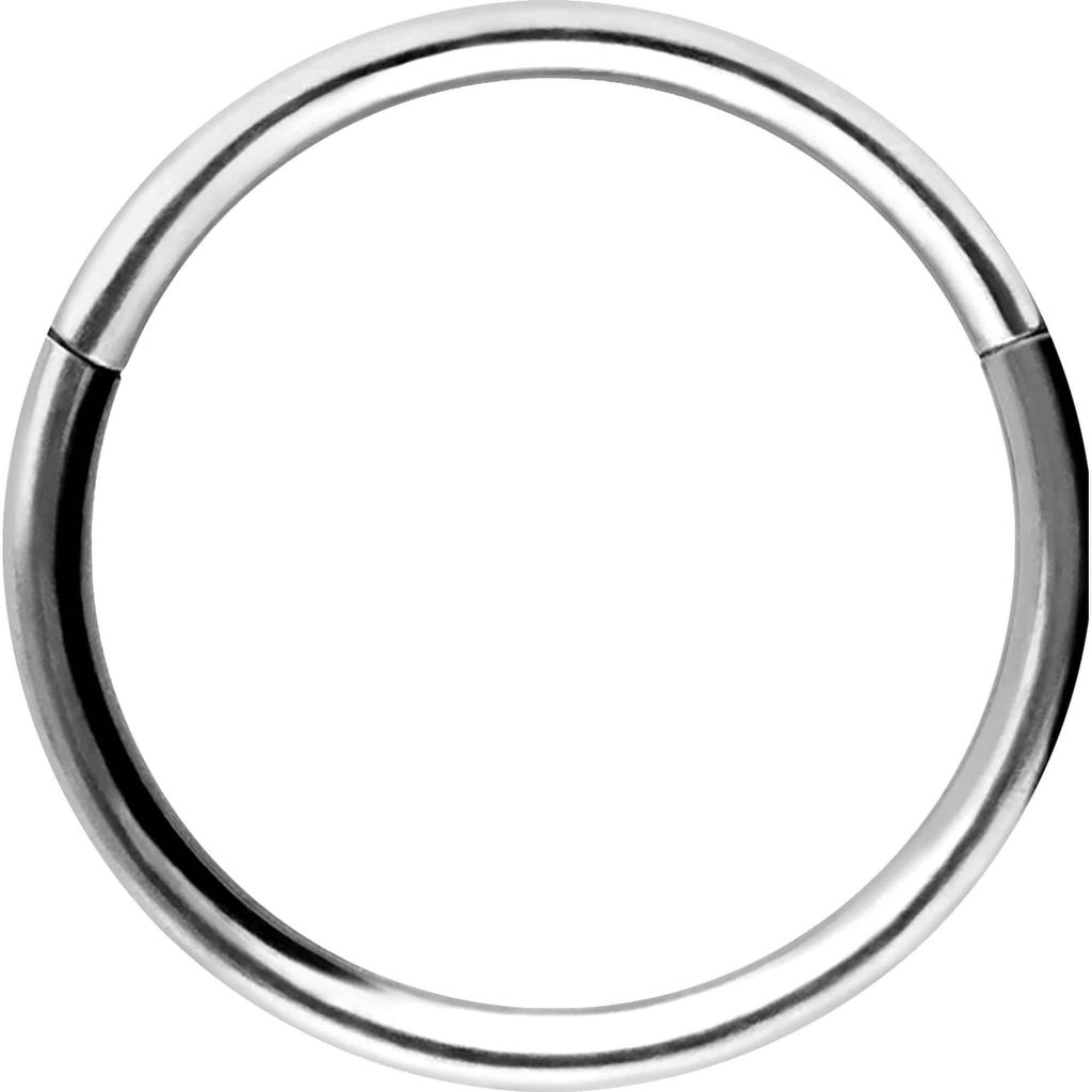 Ohrpiercing, Nasenpiercing, Septum Piercing Chirurgenstahl Segmentring Clicker Silber Innendurchmesser: 10mm + Stabstärke: 0,8mm