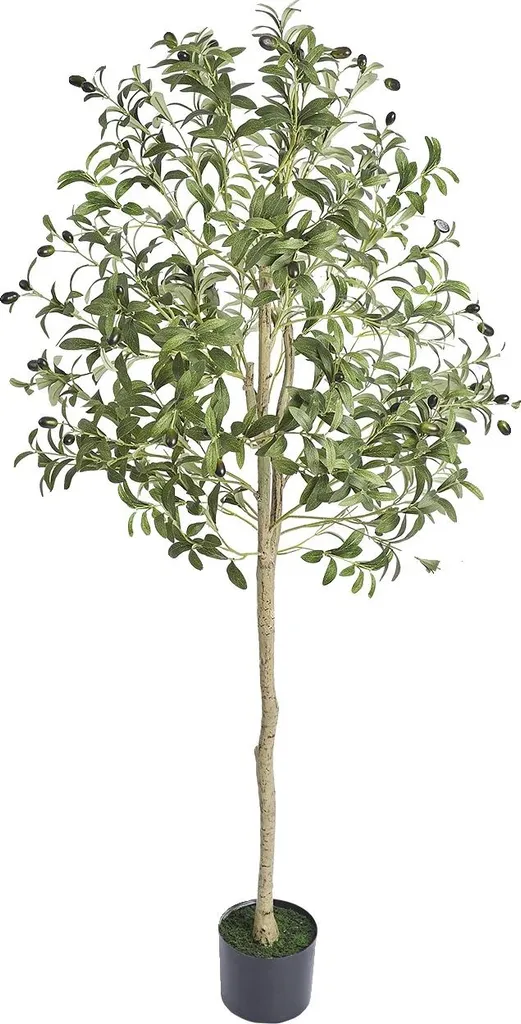 Arbre artificiel olivier 5ft : plante verte déco intérieur réaliste Typ2
