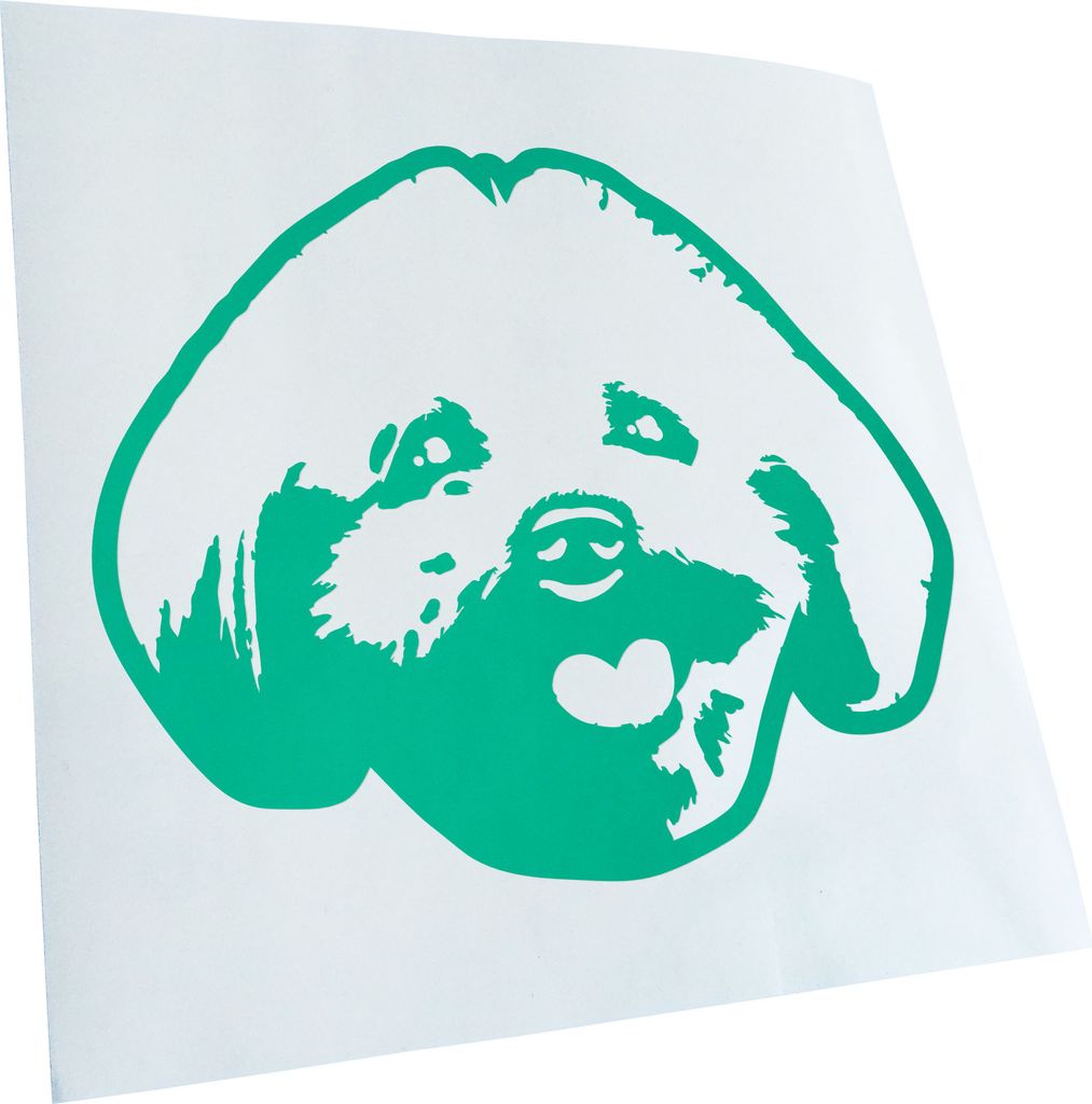 Kiwistar - Autoaufkleber - Maltese Hund - Türkis - 40x33cm - Aufkleber für Auto, Laptop, Fahrrad, LKW, Motorrad Mehrfarbig JDM Decal Racing