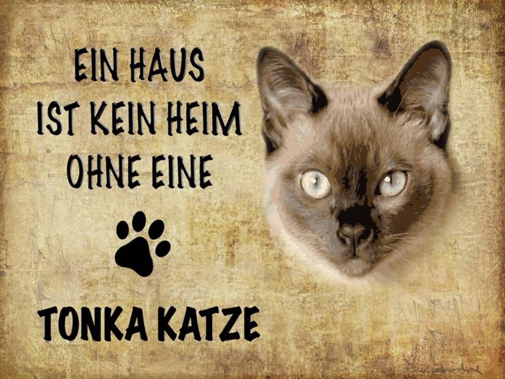 vianmo Holzschild 30x40 cm Tonka Katze ohne kein Heim Produktbild 