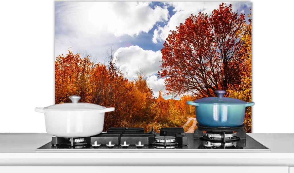KitchenYeah Spritzschutz Küche - Küchenrückwand - Wandschutz für Herd und Spüle - Baum - Weg - Herbst 90x60 - Alu-Dibond (Alternative zum S...