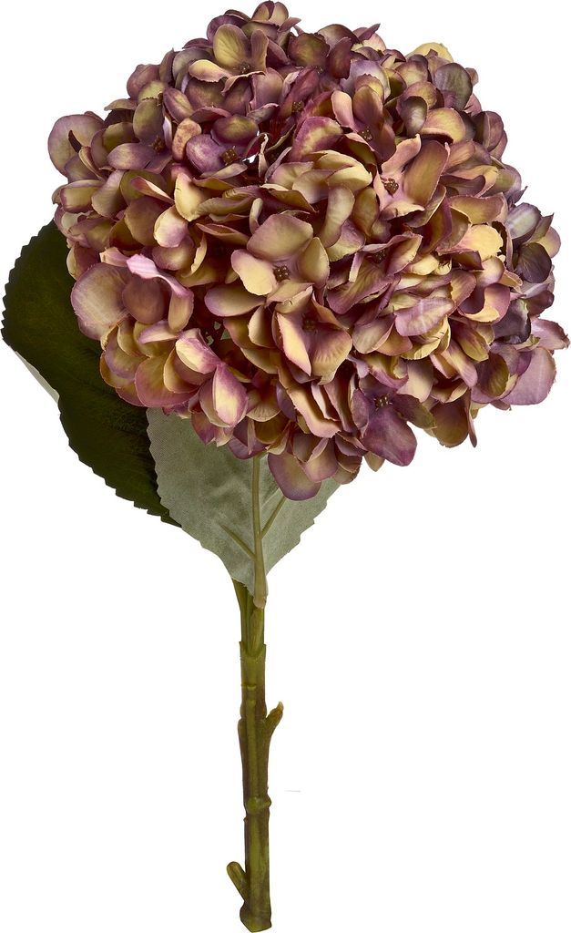 Hill Interiors - Kunstblume, Hortensie HI2902 (Einheitsgröße) (Kaffeebraun)