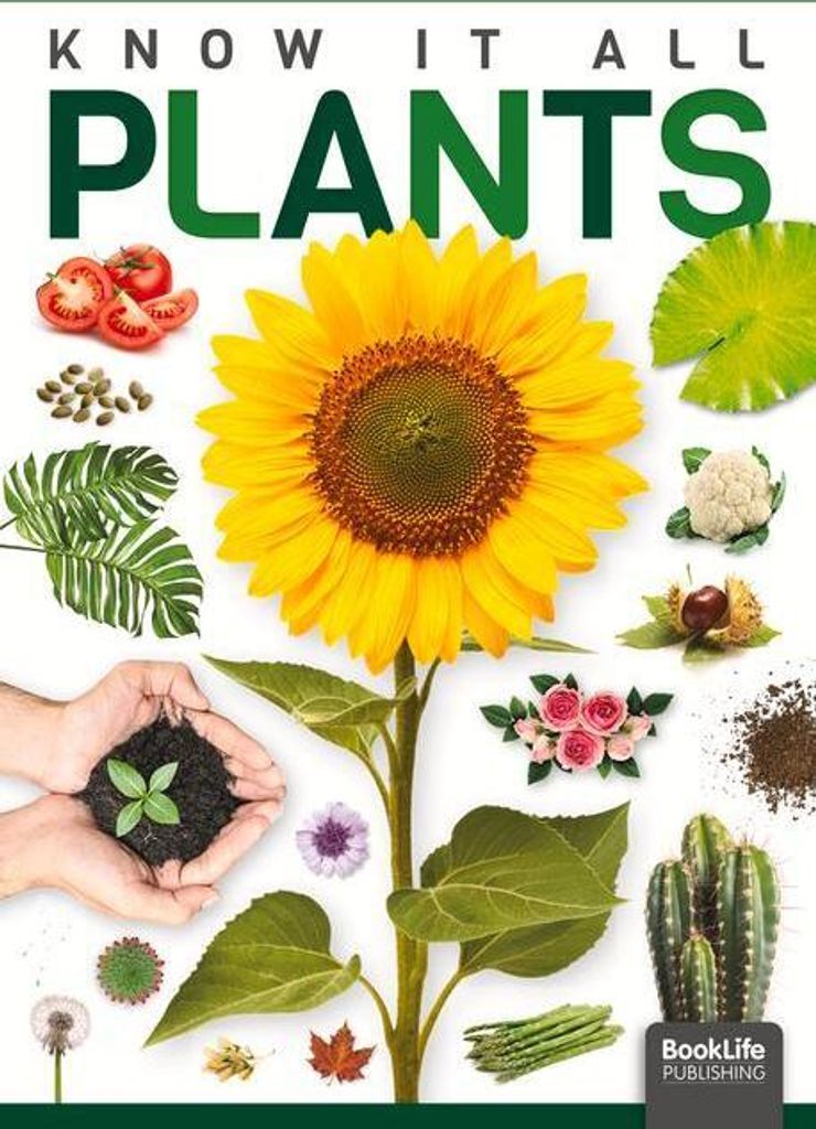 Plants