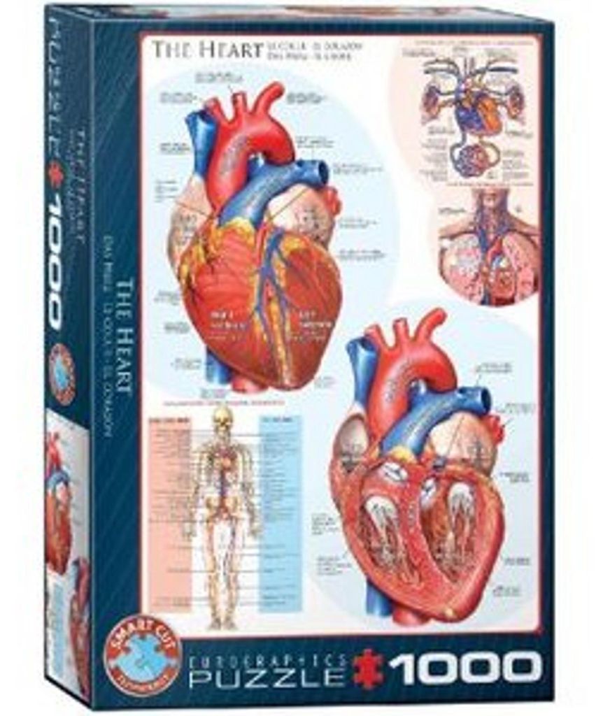 Eurographics Puzzle Das Herz, Anatomie, 1000 Teile, 68 x 48 Immagine del prodotto 