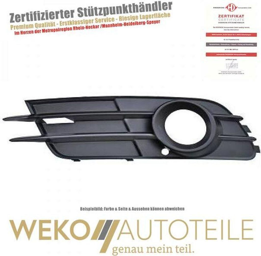 Lüftungsgitter Stoßstange links DIEDERICHS 1028049 für AUDI