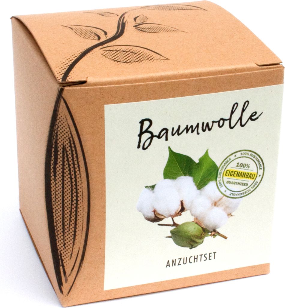 Anzuchtset Baumwolle | Blumensamen von Naturkraftwerk