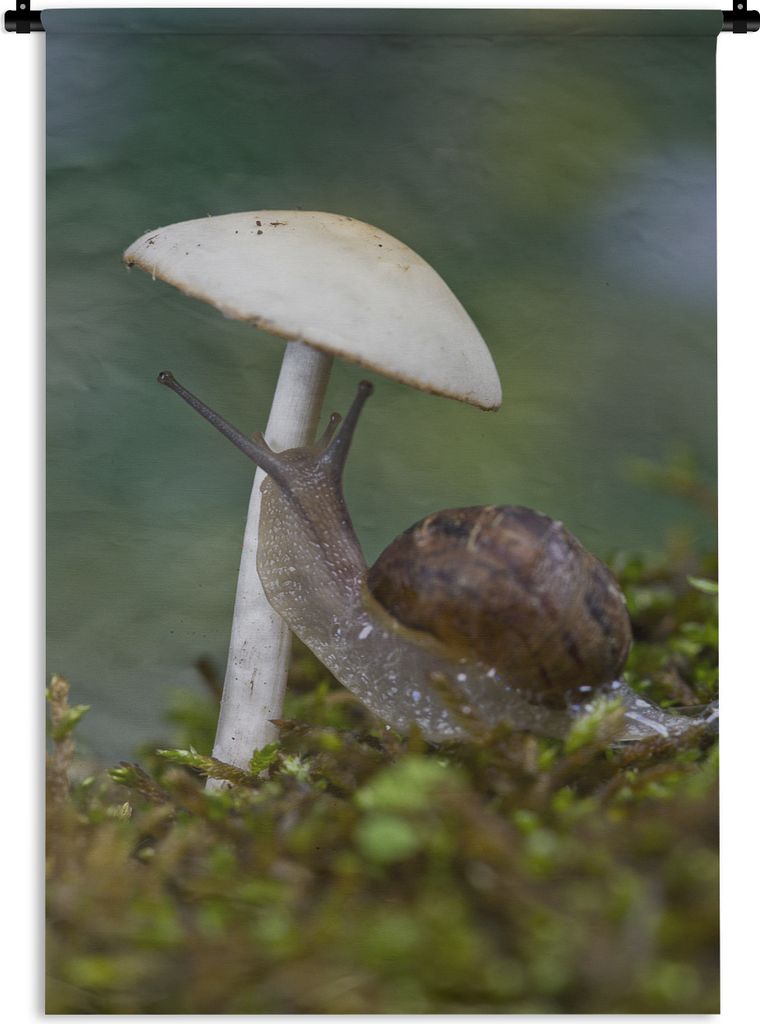 MuchoWow Wandteppich Wandbehang Schnecke sitzt unter einem weißen Pilz 120x180 cm Tapisserie Dekoration Wandtuch - Schlafzimmer - Dekorationen f...