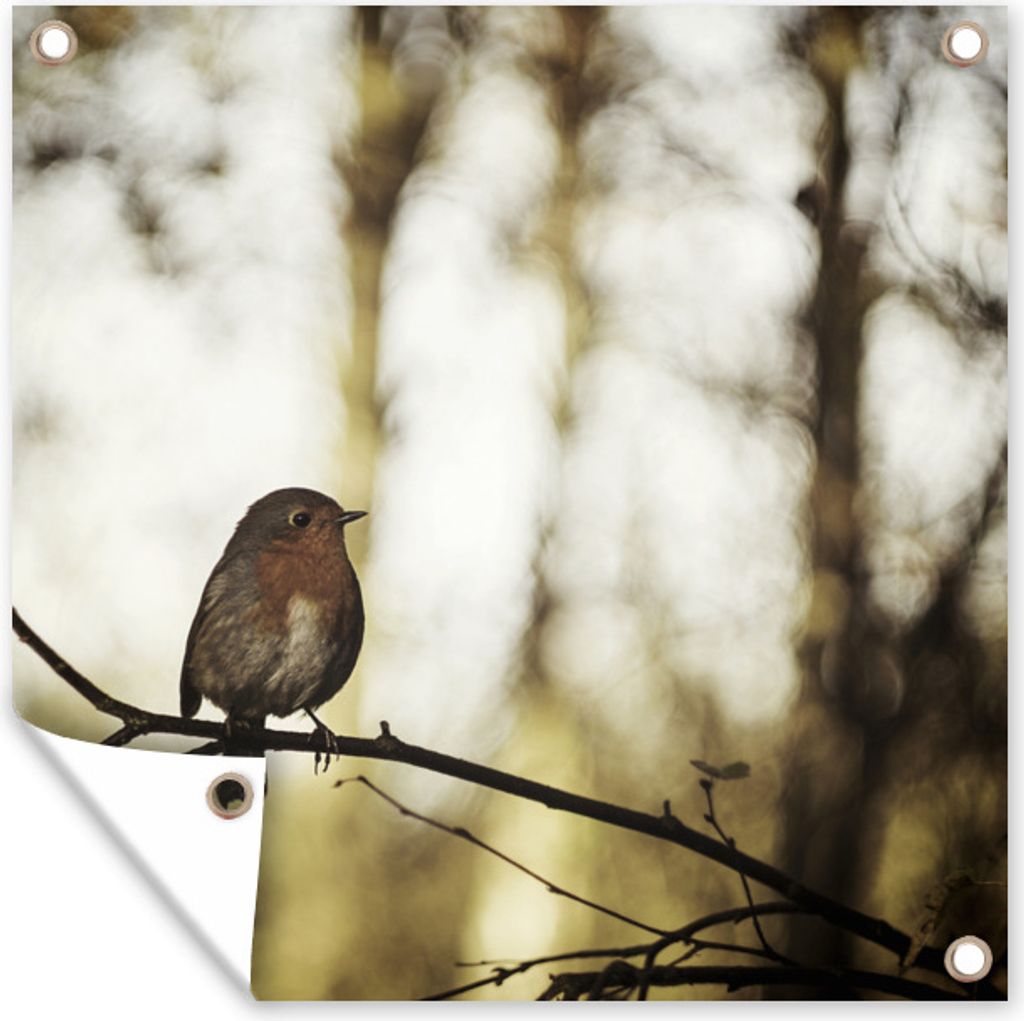 MuchoWow 100x100 cm Outdoor-Poster Gartendeko Sichtschutz Garten Poster für den Garten Natur - Rotkehlchen - Zweig