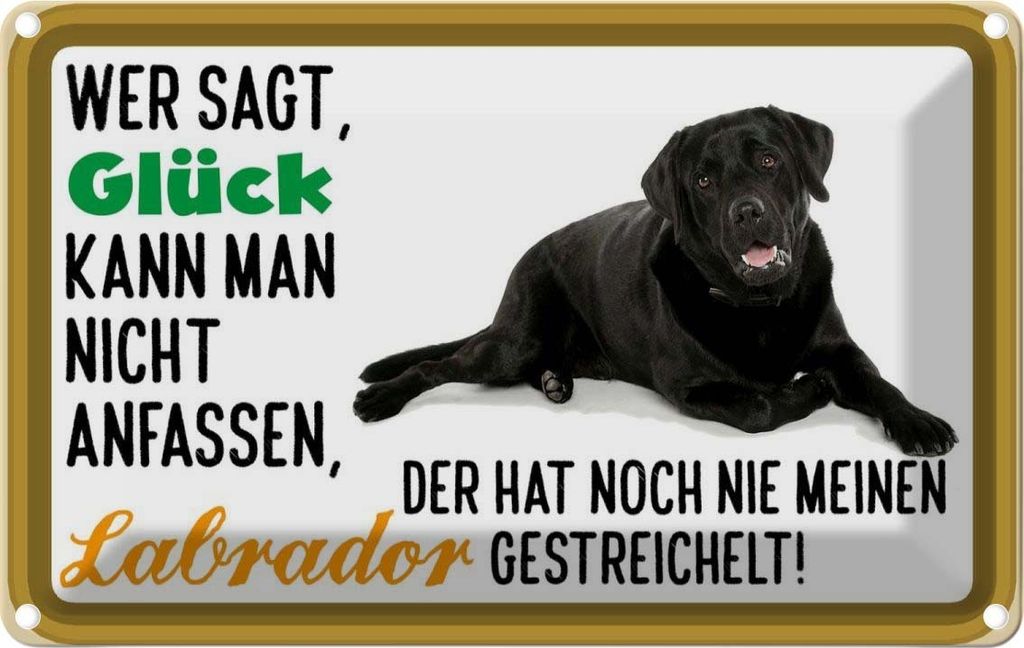 vianmo Blechschild 20x30 cm Glück nicht anfassen Labrador Dekoration Hund