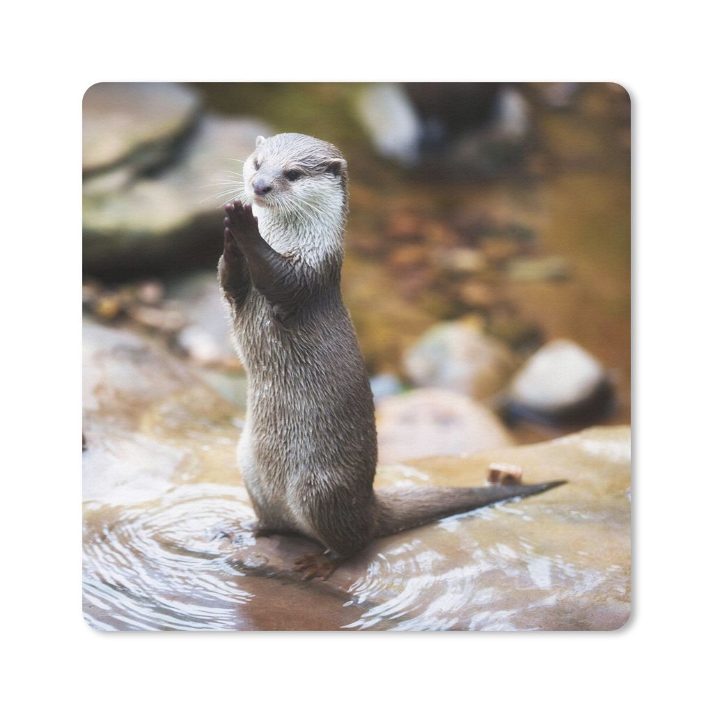 MuchoWow Mauspad Mousepad Otter steht aufrecht 30x30 cm - Mousepads - Maus Mat - Pad - Mausunterlage - Gaming