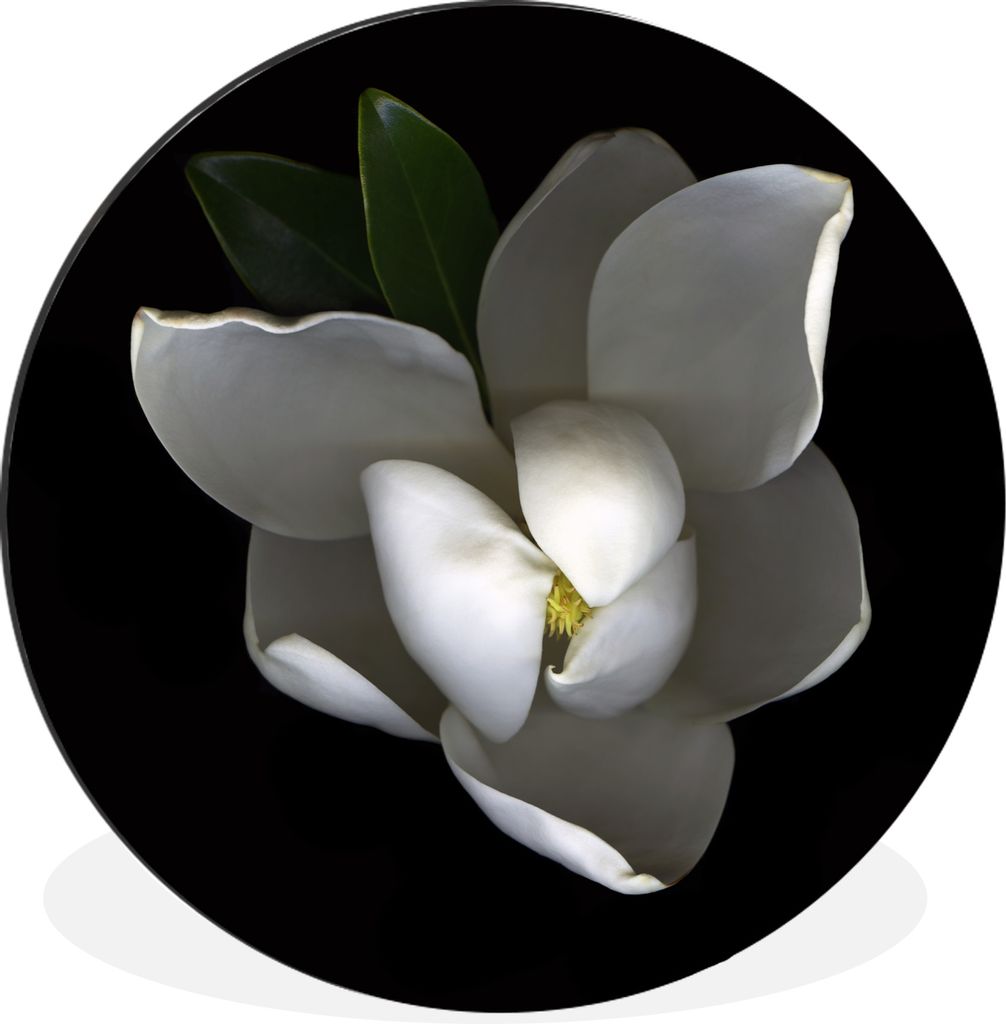 MuchoWow - Wand Bild - Wohnzimmer - Runde Bilder - Alubilder - Kunst für zu Hause - Aluminium - Wanddekoration