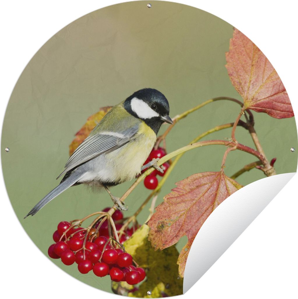 MuchoWow Gartenposter Outdoor-Poster Rund Tolle Meise zwischen den roten Blättern Ø 90 cm Gartendeko Rundes Poster draußen