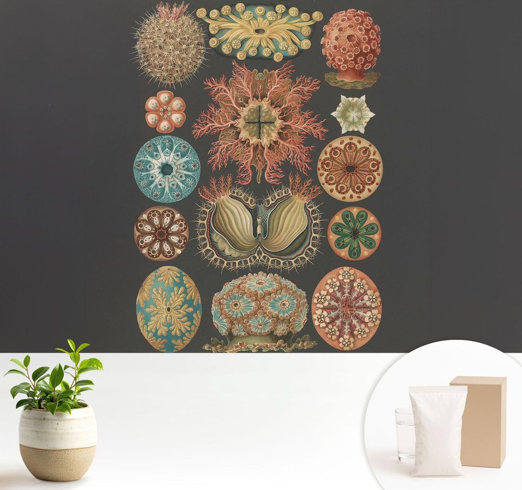 Fototapete - 104x70 cm - Tapete - Wandtapete - Wandbilder - Dekofolie - Tapete Folie - Wand - Dekoration - Wohnzimmer - Inspirationen aus dem Meer