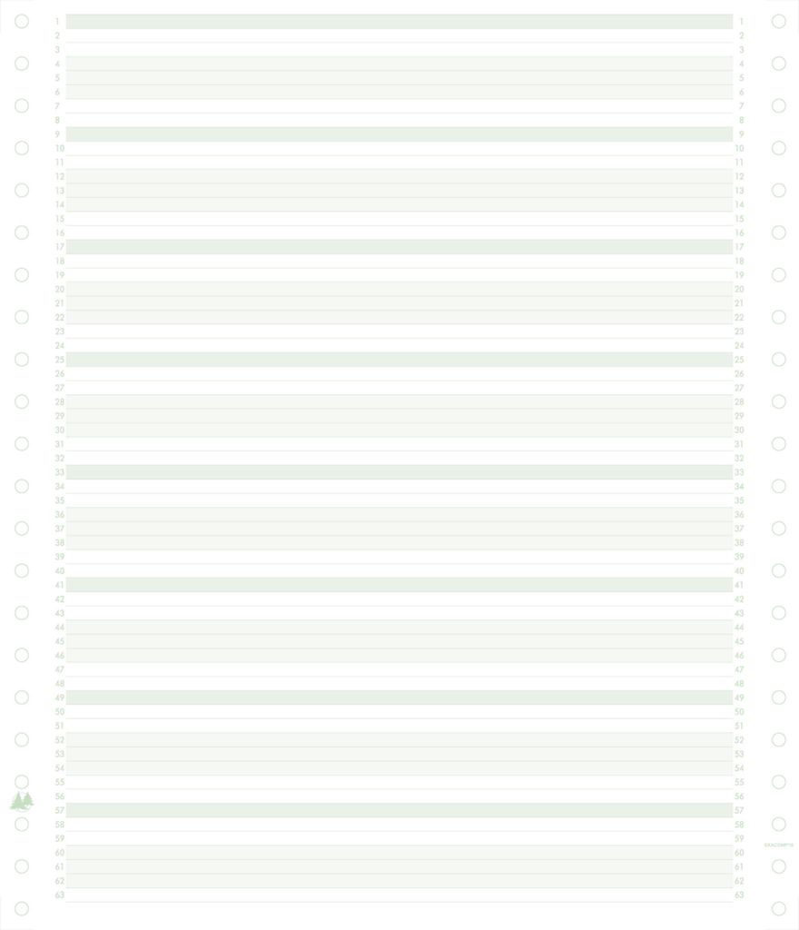 Exacompta Pk 2000 Comp-Papier 60g 240x11'' Gree 62211E