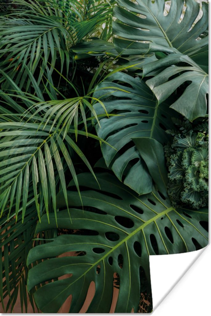 MuchoWow Poster Pflanzen - Dschungel - Blätter - Tropisch 40x60 cm - Plakate für die Wand - Poster Babyzimmer