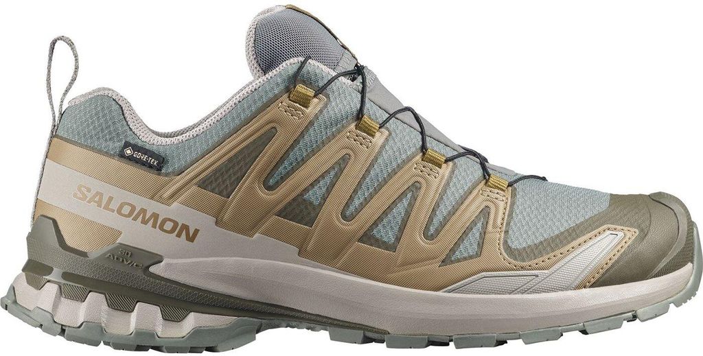 SALOMON SHOES XA PRO 3D V9 GTX Sedsa/Planta/Palo 000 000 44.5