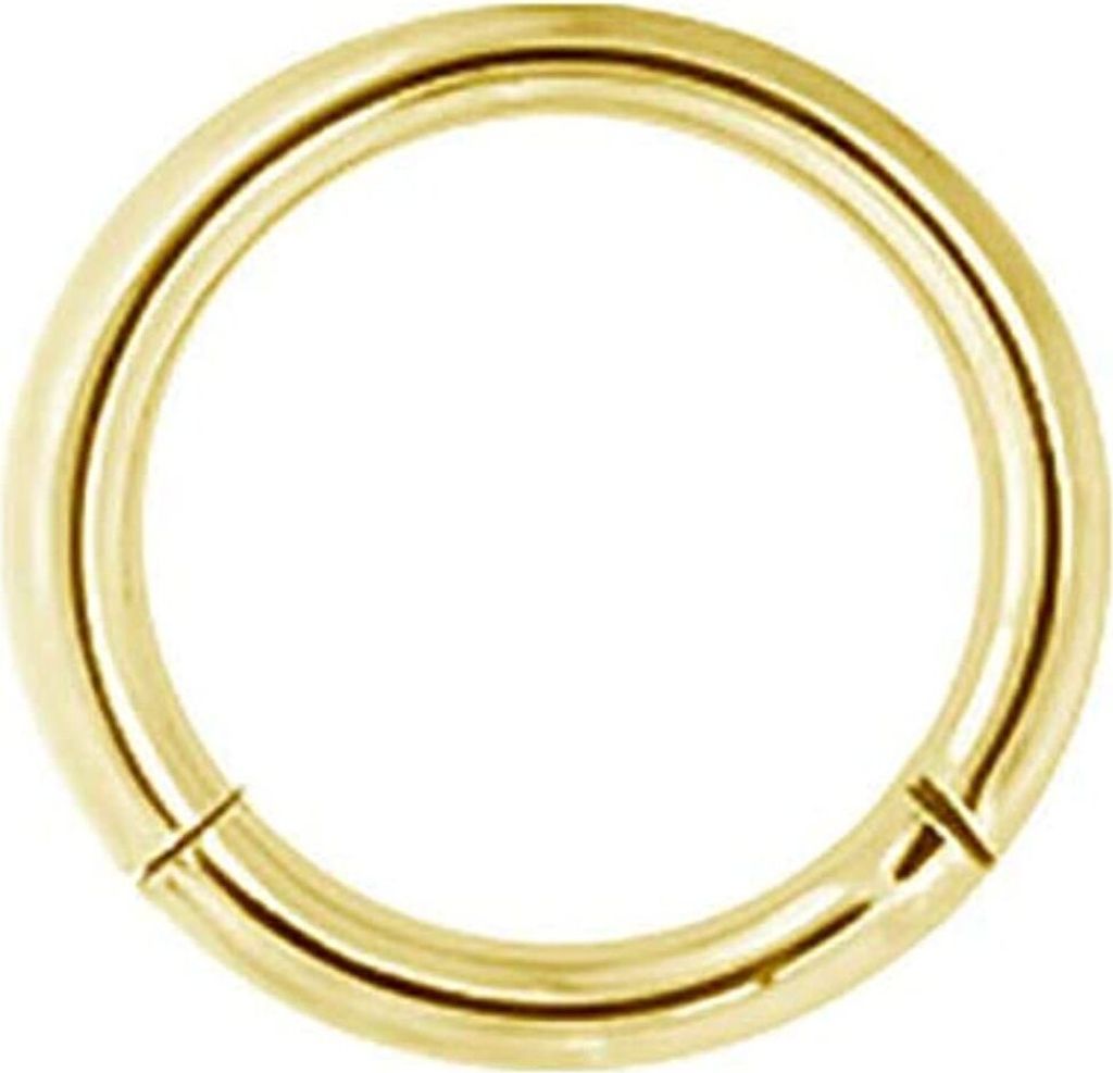 Karisma Titan Gold G23 Hinged Segmentring Charnier/Septum Produktbild 